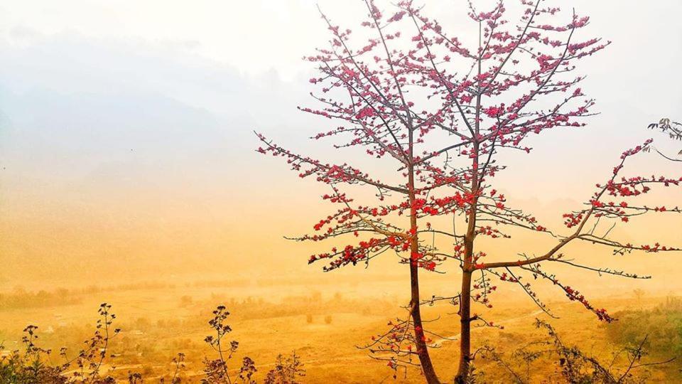 Diem Dung Chan Can Ty Hà Giang Eksteriør billede