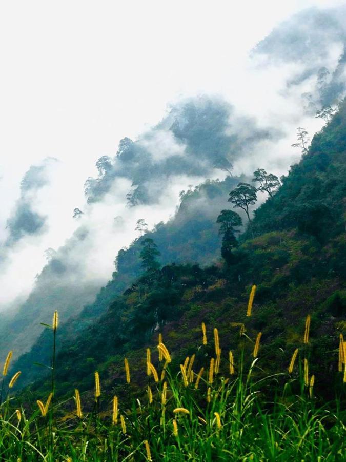 Diem Dung Chan Can Ty Hà Giang Eksteriør billede