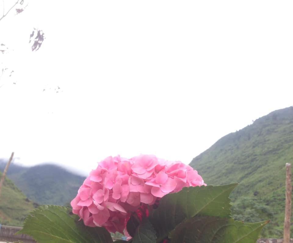 Diem Dung Chan Can Ty Hà Giang Eksteriør billede